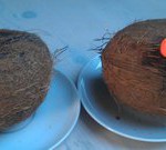 Coconut_Rum