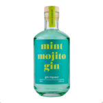 mint-mojito-gin-liqueur_38243